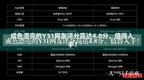 成色漂亮的Y31网友评分高达4.8分，值得入手！