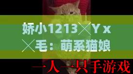 娇小1213╳Yⅹ╳毛：萌系猫娘的治愈日常