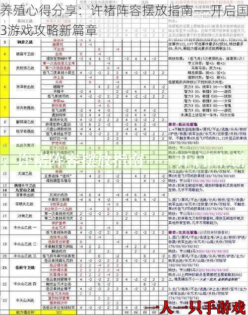 养殖心得分享：许褚阵容摆放指南——开启国3游戏攻略新篇章